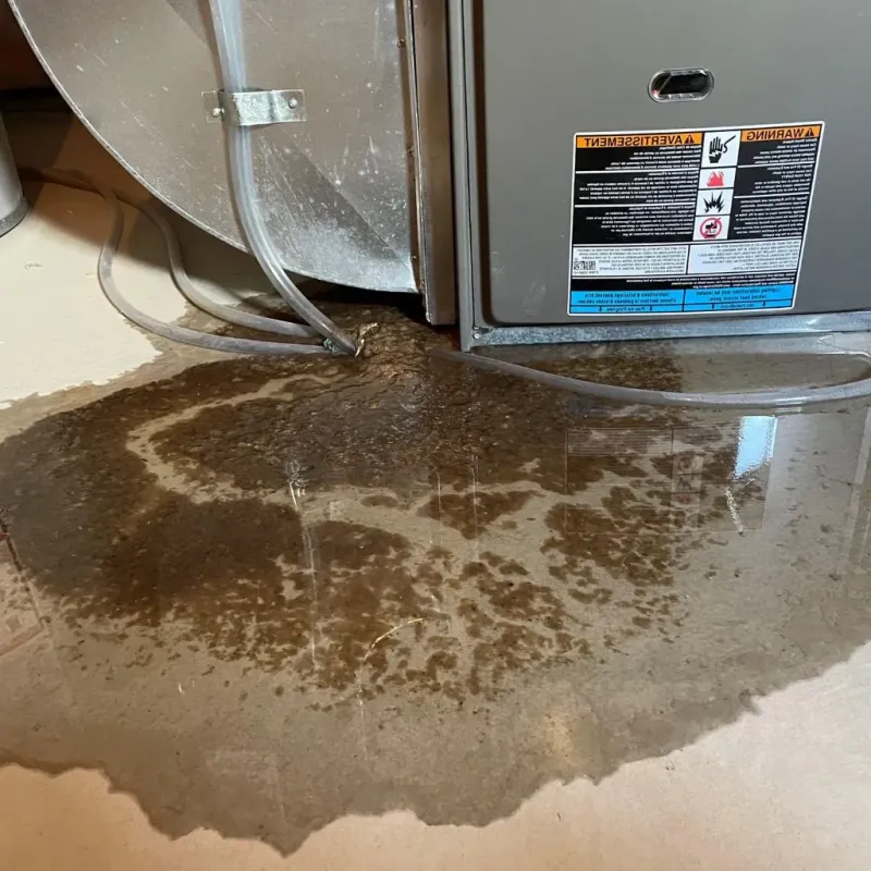 Pipe Burst and Leak Restoration in Lakeland, NY